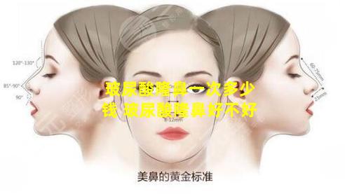 玻尿酸隆鼻一次多少钱 玻尿酸隆鼻好不好